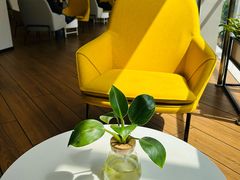 -上海宝信宝马4S店