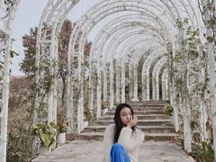 -大塘金香草谷
