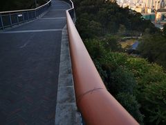 -金鸡山公园