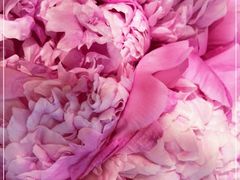 -BHG生活超市(安贞店)