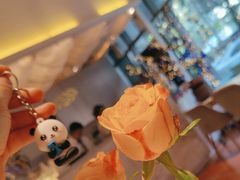 -伊斯坦布尔土耳其清真咖啡餐厅