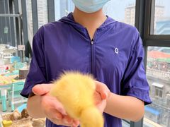 -怪兽屋·羊驼·猫咖·狗咖(俊华广场店)