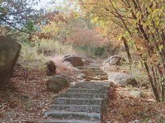 -灵岩山风景区