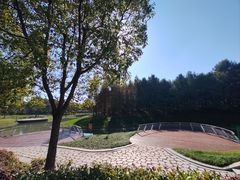 -上海山野camping·户外天幕烧烤·团建拓展营地