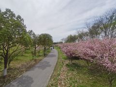 -苏州太湖国家湿地公园