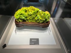 -安徽省地质博物馆