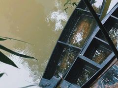 -三峡人家风景区