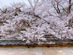 -醍醐寺