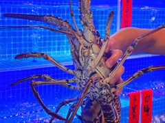 -合丰源幸福楼·客家菜