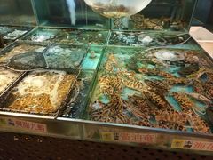 -香港皇家太平洋酒店