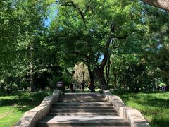 -玲珑塔公园