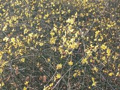 -南通博物苑-崇川人民公园