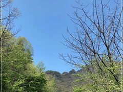 -秦岭风景区