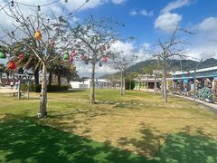 -锦里海景海鲜餐厅.三亚老字号(亚龙湾中心广场店)
