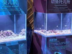 -三亚亚特兰蒂斯度假区