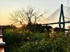 -芒洲湿地公园