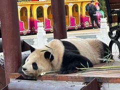 -杭州野生动物世界