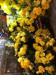 -香遇沙龙香水·调香·团建