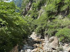 -陕西省红河谷森林公园