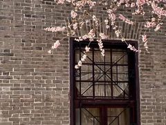 -桃花堤公园