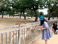 -西安秦岭野生动物园