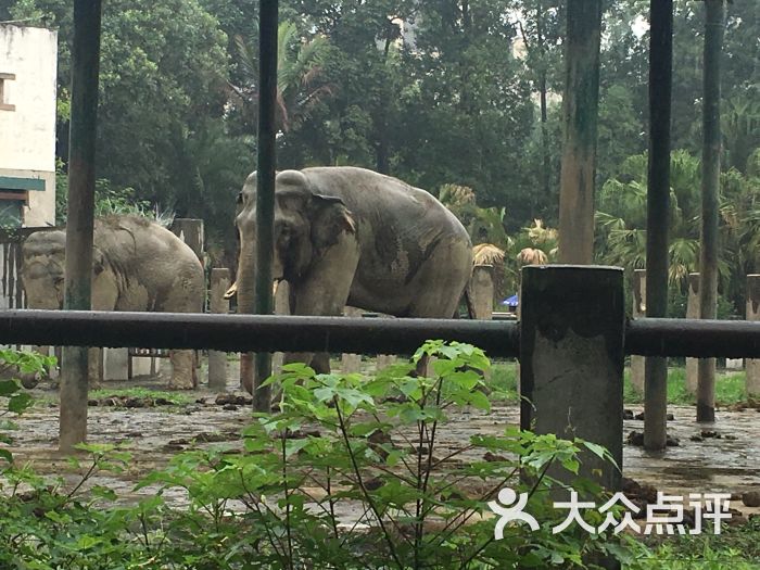 成都動物園圖片 - 第8張