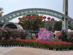 -南山植物园