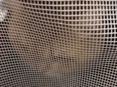-瑞鹏宠物医院·骨科·猫科·内科(第一中心)