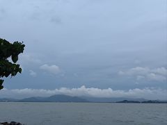 -深圳湾公园(南山区)