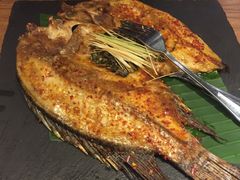 罗非鱼-云海肴·汽锅鸡·云南菜(天山百盛优客店)