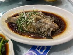 -光明渔港(海悦天地店)