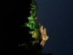 景山公园-景山公园