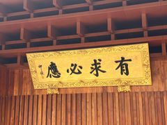 -深圳仙湖植物园