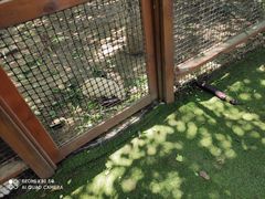 -上膳源有机农场