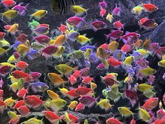 -威海华夏城景区