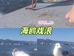 -海埂大坝
