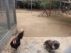 -西安秦岭野生动物园