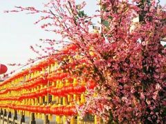 -黄河富景生态世界