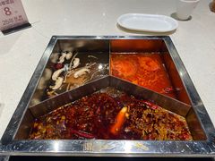 -红鼎坊·老成都火锅(新南门店)