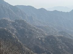 -大岭沟猕猴桃谷风景区