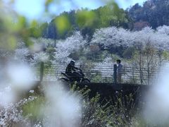 -四明山国家森林公园
