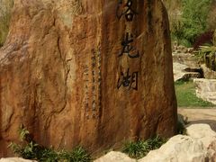 景点-洛龙公园