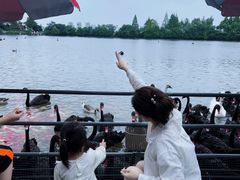 -艾溪湖湿地公园