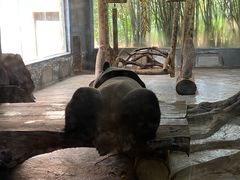-海南热带野生动植物园