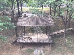 -石家庄市动物园