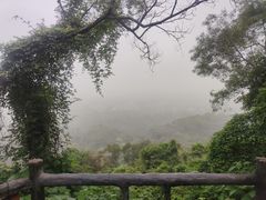 -海口火山口国家地质公园