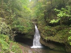-龙苍沟森林公园