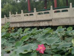 -南戴河国际娱乐中心