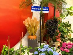-阅年轻·AI家庭健康体质调理