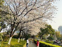 -昆山城市公园
